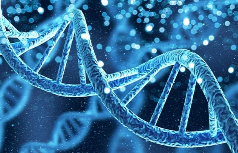 NAD+ And DNA Repair Mechanisms | Shaanxi BLOOM Tech Co., Ltd NAD+ And DNA Repair Mechanisms | Shaanxi BLOOM Tech Co., Ltd