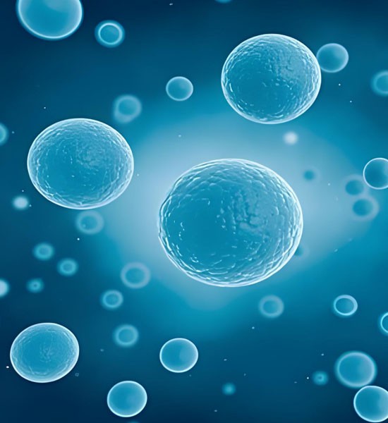 SLU-PP-332 Buy | Shaanxi BLOOM Tech Co., Ltd SLU-PP-332 Buy | Shaanxi BLOOM Tech Co., Ltd