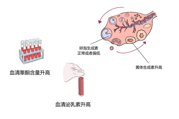 Sermorelin CAS 86168-78-7 | Shaanxi BLOOM Tech Co., Ltd Sermorelin CAS 86168-78-7 | Shaanxi BLOOM Tech Co., Ltd