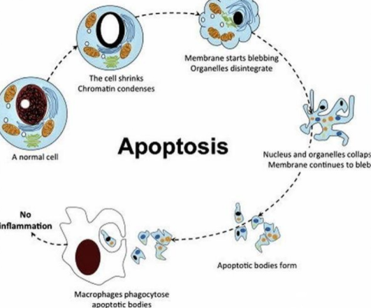 SLU-PP-332 Buy | Shaanxi BLOOM Tech Co., Ltd SLU-PP-332 Buy | Shaanxi BLOOM Tech Co., Ltd