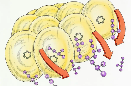 GS-441524 Buy | Shaanxi BLOOM Tech Co., Ltd GS-441524 Buy | Shaanxi BLOOM Tech Co., Ltd