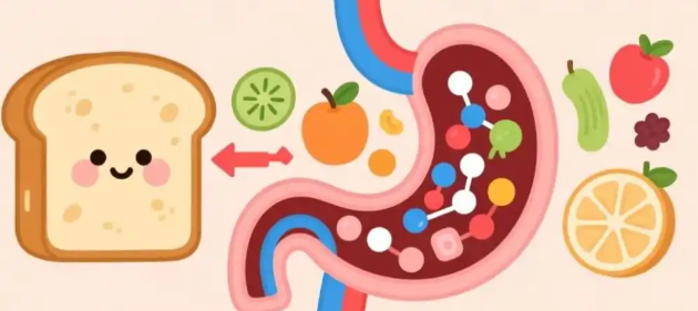 SLU-PP-332 potential | Shaanxi BLOOM Tech Co., Ltd SLU-PP-332 potential | Shaanxi BLOOM Tech Co., Ltd