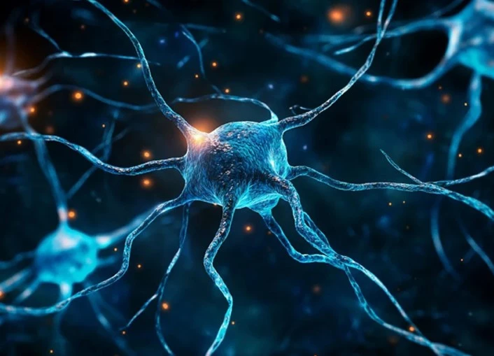 Bioglutide NA-931 nervous system | Shaanxi BLOOM Tech Co., Ltd Bioglutide NA-931 nervous system | Shaanxi BLOOM Tech Co., Ltd