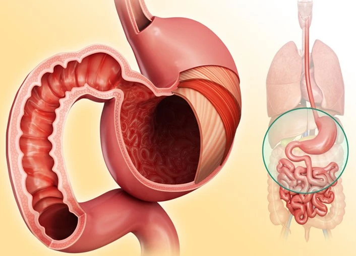 Bioglutide NA-931 Gastric emptying | Shaanxi BLOOM Tech Co., Ltd Bioglutide NA-931 Gastric emptying | Shaanxi BLOOM Tech Co., Ltd