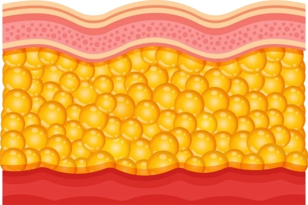 Bioglutide NA-931 fat | Shaanxi BLOOM Tech Co., Ltd Bioglutide NA-931 fat | Shaanxi BLOOM Tech Co., Ltd