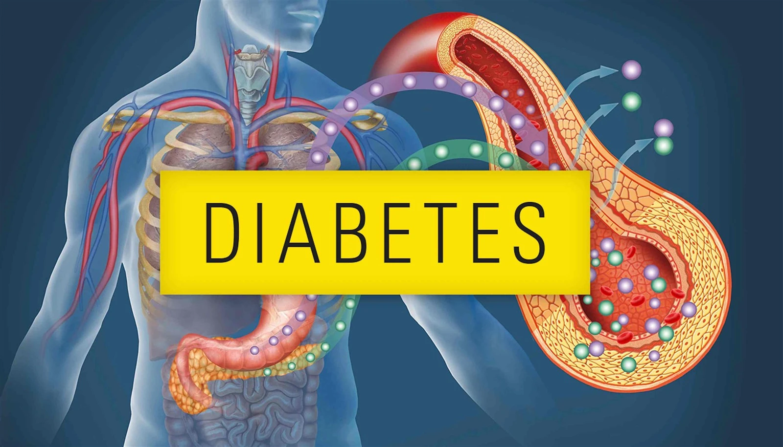 Retatrutide Diabetes | Bloomtechz Retatrutide Diabetes | Bloomtechz