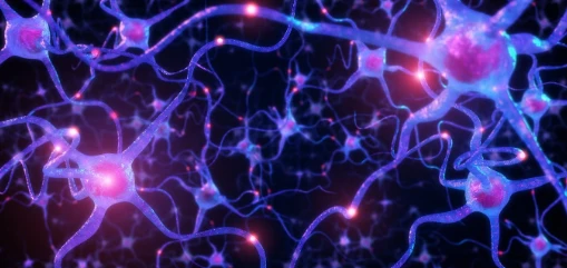 Retatrutide Neuroprotection | Bloomtechz Retatrutide Neuroprotection | Bloomtechz